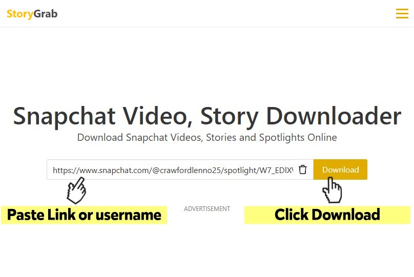 Ejemplo de campo para pegar enlace en la página de StoryGrab en PC