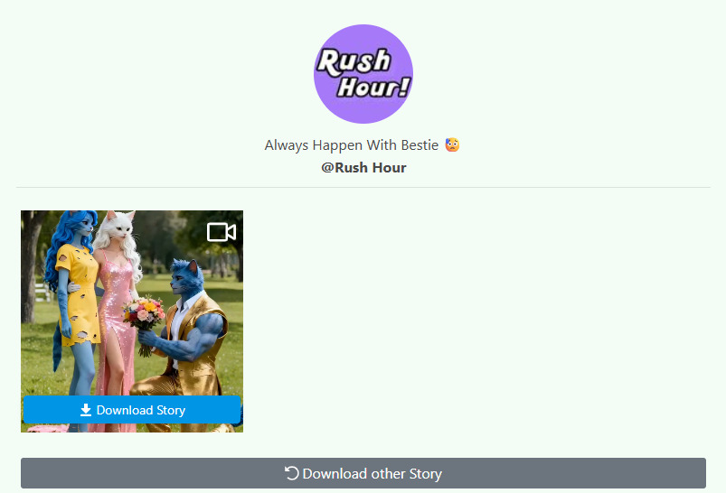 PC'de Snapchat hikaye indirme bölümü - StoryGrab
